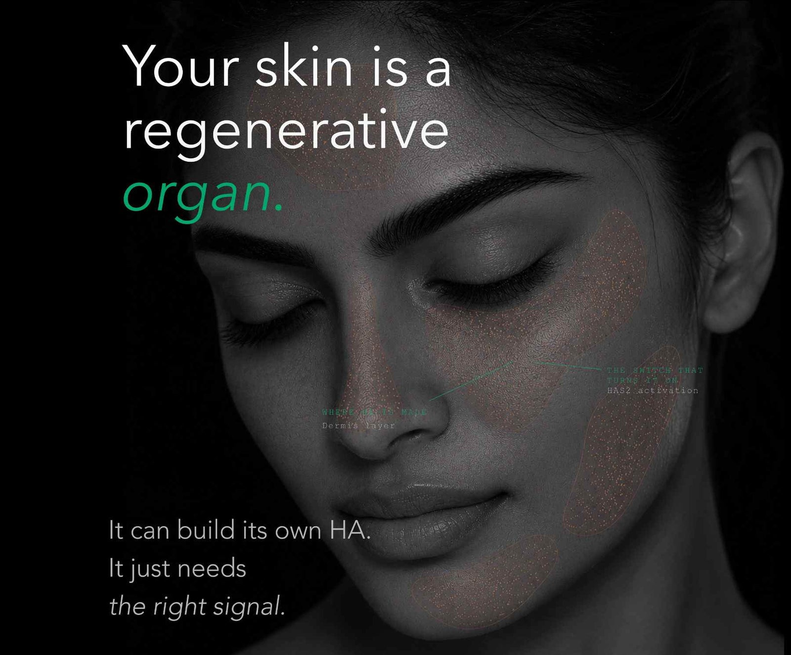 Deep Hydration, Glow Serum-Test Copy